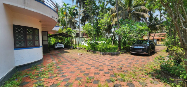 property1.jpg