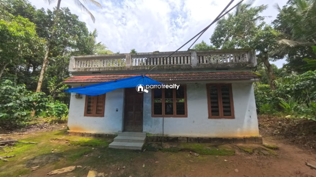 property1.jpg