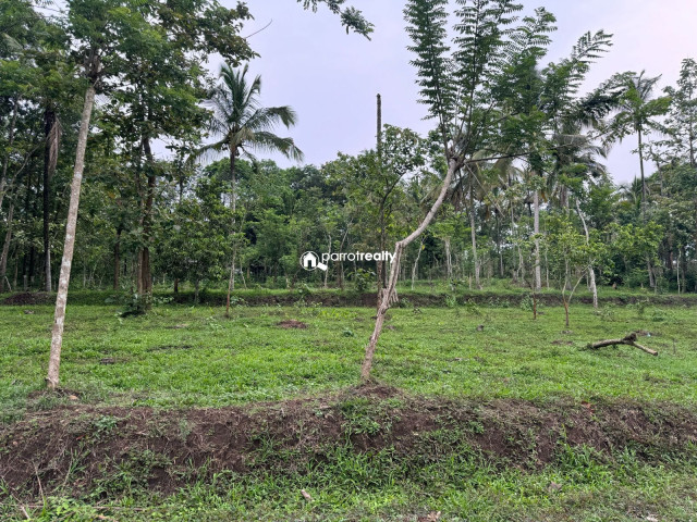 property1.jpg
