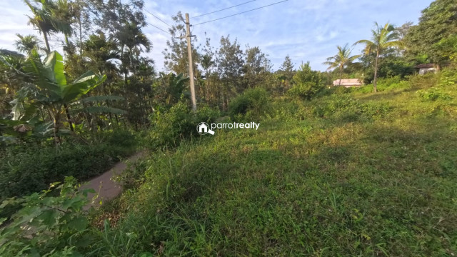 property1.jpg