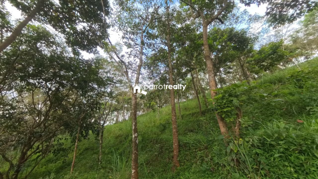 property1.jpg
