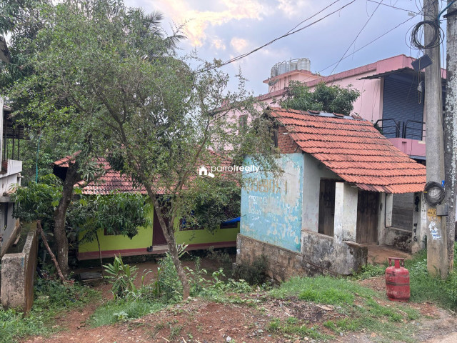 property1.jpg