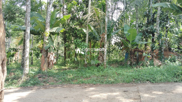 property1.jpg