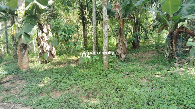 property1.jpg
