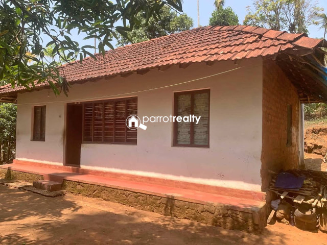 property1.jpg