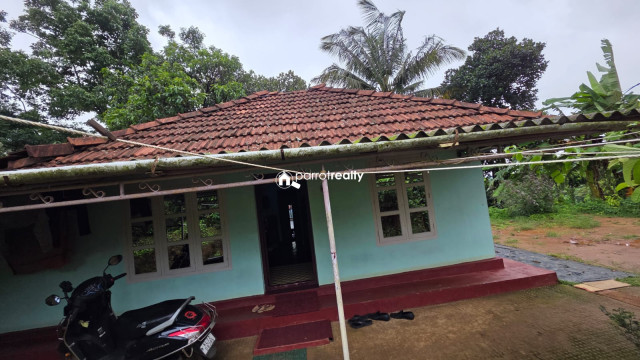 property1.jpg
