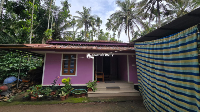 property1.jpg