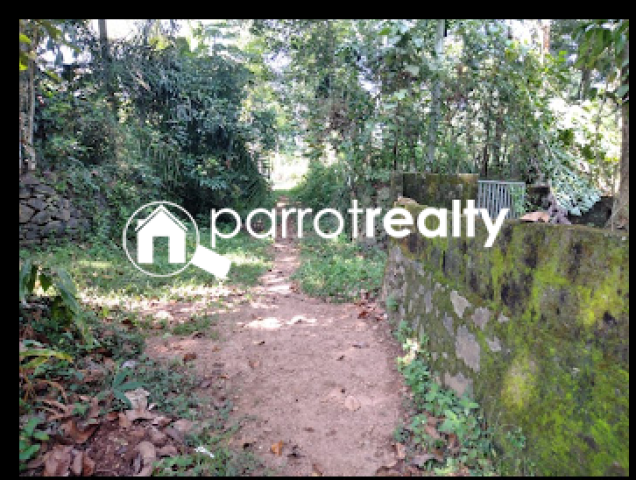property1.jpg