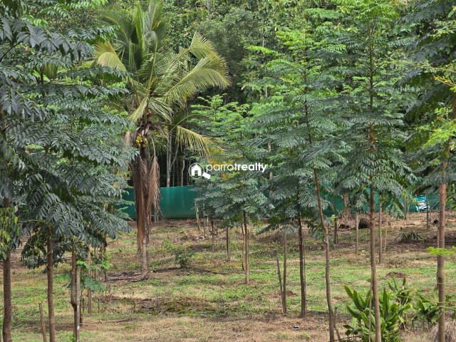 property1.jpg