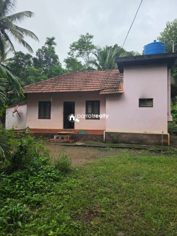 property1.jpg