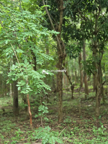property1.jpg