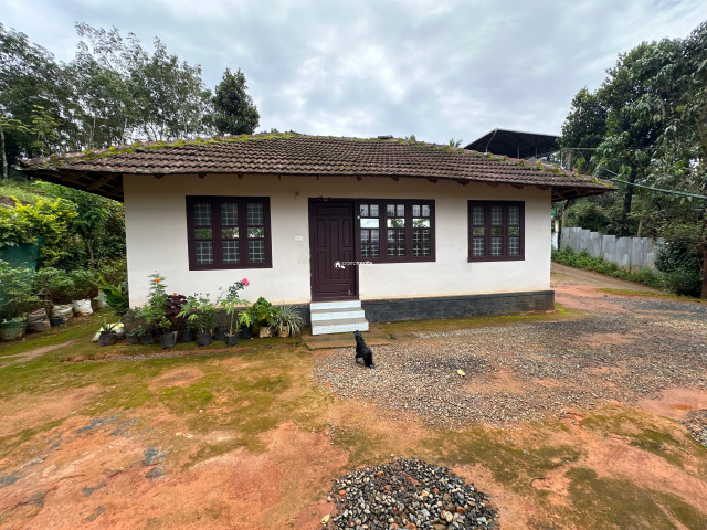 property1.jpg