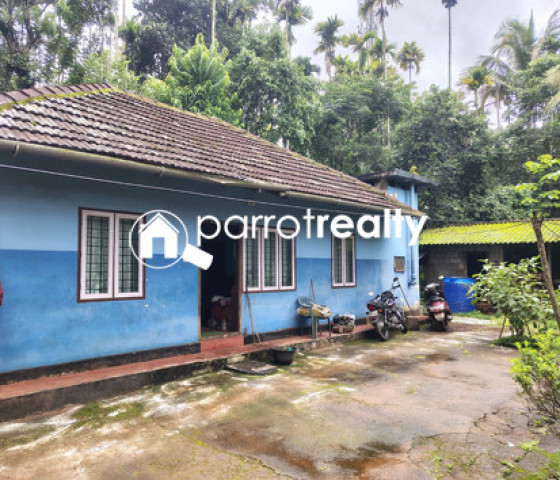 property1.jpg