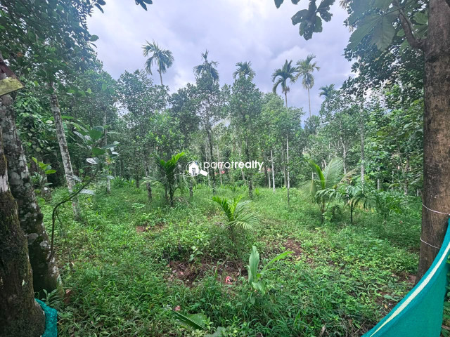 property1.jpg