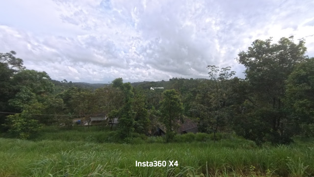 property1.jpg
