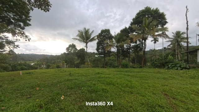 property1.jpg
