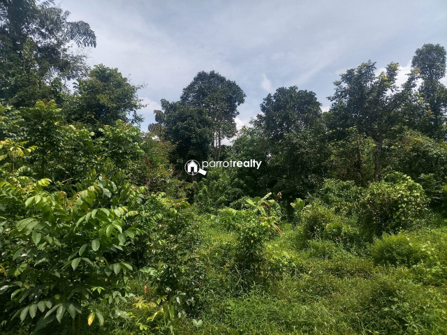 property1.jpg