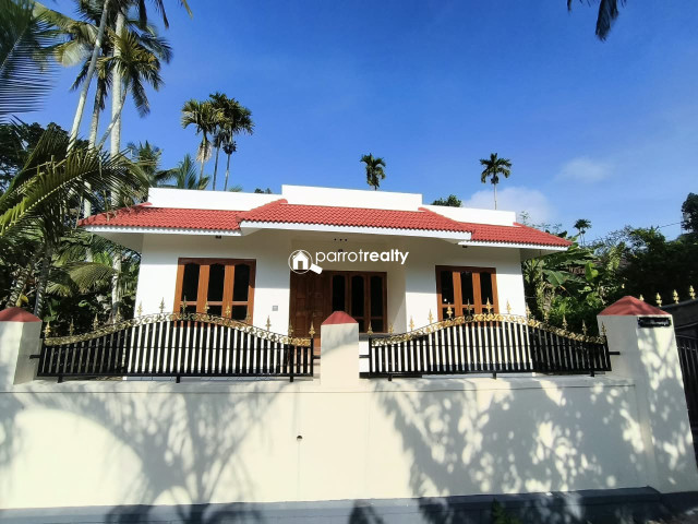 fp1.jpg