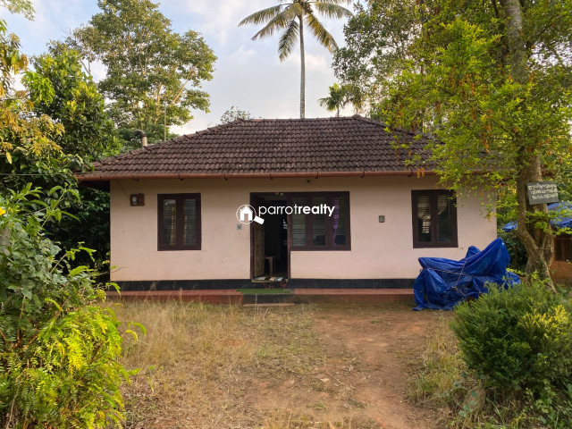 property1.jpg