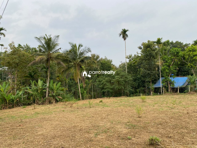 property1.jpg