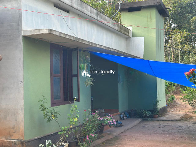 property1.jpg
