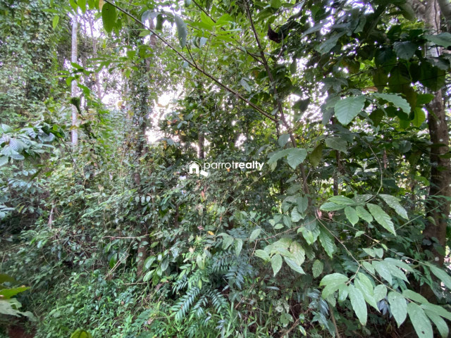 property1.jpg